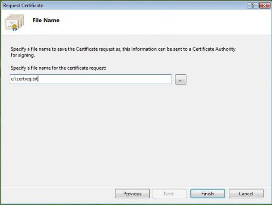 ssl-IIS5.JPG