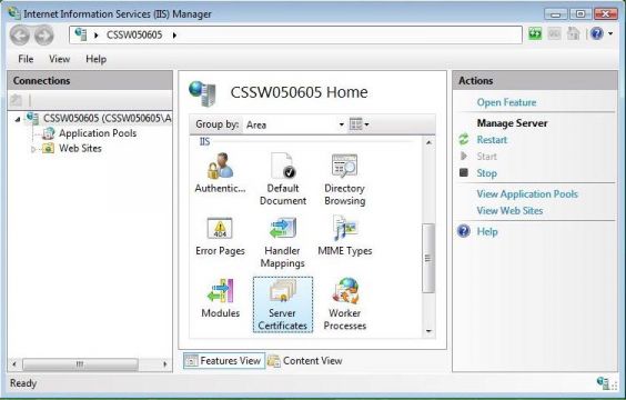 ssl-IIS1.JPG